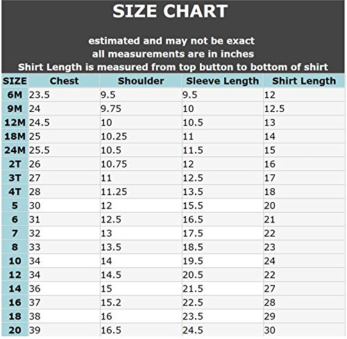 Spring Notion Camisa social de manga comprida para meninos, Hortelã, 12 meses