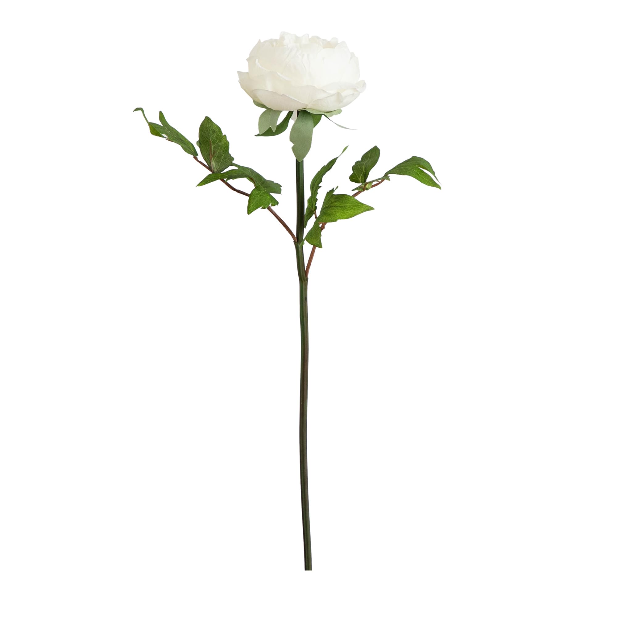 Pivoines artificielles blanches de 50cm lot de 3 tiges pour vase de maison