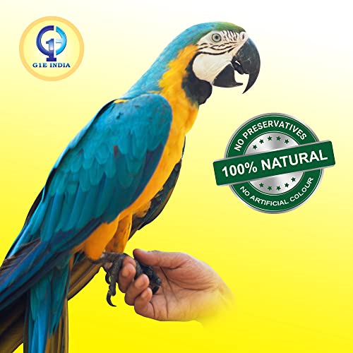 Image of Hand-Selected Seed Mix for All Life Stages Dry Bird Food for Little Birds - Little Birds Mix Seeds 900 Grams - Pack of 4 (3600 Grams)