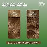Clairol Natural Instincts Demi-Permanent Hair Dye, 6.5G Lightest Golden Brown Hair Color, Pack of 3 - Image 5