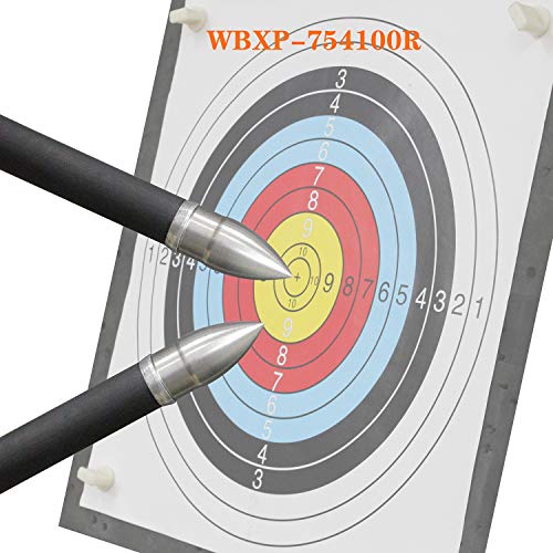 Wisdom 100 Grains Arrow Field Points 19/64 Inch 7.54Mm Stainless Steel Bullet Point Archery Tip For Bow Hunting Target Practice Inserts 1 Dozen 12 Pcs #TOP7