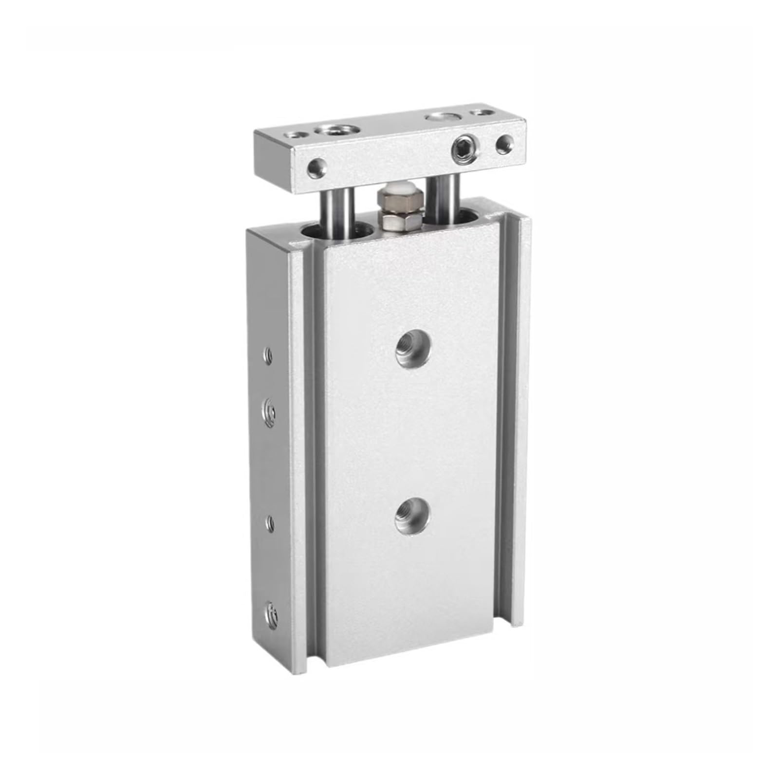 Vérin pneumatique double tige TR6 pour éliminer le jeu mécanique