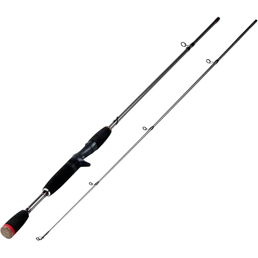 Sougayilang 2PC Fishing Rod Casting Rod-168cm-Black