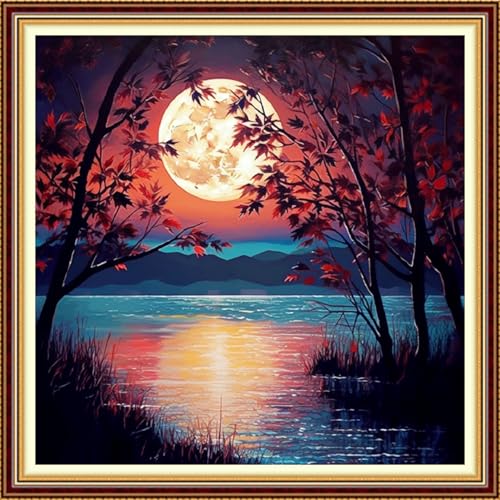 Image of Funchey Stamped Cross Stitch Kits, DIY Cross Stitch Pattern for Adults Beginners Needlepoint Kits Embroidery Kit Arts and Crafts 11CT-Moonlight by the Lake 18x18 inch