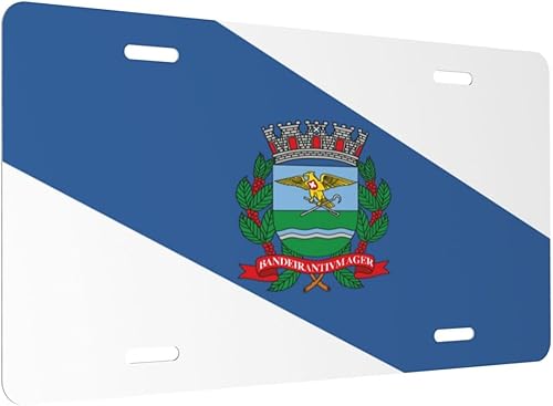 Miniatura 8 de Placa de matrícula de aluminio para automóvil de 6 x 12 pulgadas, placa frontal de metal novedosa, etiqueta frontal de automóvil, accesorios