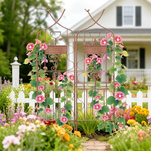 Image of LZRS 2 Pack 59.5 * 18in Rustic Iron Arch Decoration Garden Trellis with Metal Coating - Perfect for Supporting Climbing Plants Outdoor, Roses, Vines, Flowers, and Vegetables, Brown