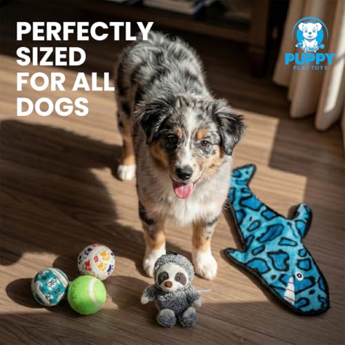 Set de 5 juguetes sonoros de felpa para perros miniatura 6