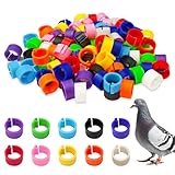 200 Pcs 8mm Chicken Leg Bands for Coturnix Quail,Baby Chicks and Pigeons,Color Poultry Identification Rings for Bantam Finch Dove Lovebird