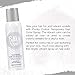 Punky Temporary Hair Color Spray, Siberian White, Non-Damaging, Quick Drying Hair Dye Instant Vivid Hair Color, 3.5 oz, 2-Pack