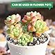 HXJDAM 950g Dekorative Steine Natürliche gemischte Farben Dekosteine Jade kieselsteine Flusskiesel für Blumentopf Vasenfüller Basteln Aquarium Gartendekoration