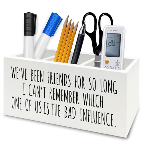 Image of Funny Sarcastic Friendship Pen Pencil Holder Organizer for Desk, Humorous Gifts, We've Been Friends for So Long I Can't Remember Which Wooden Box Signs Decor for Home Office Desk Tabletop