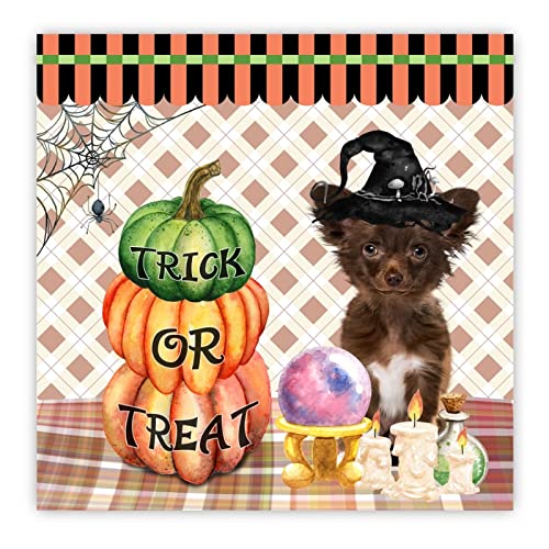 Plaque en bois Trick or Treat decoration murale Halloween chretien 40x40 cm