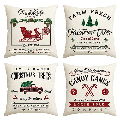 AVOIN colorlife Christmas Throw Pillow Cover, 18 x 18 Inch Winter Holiday Rustic Farmhouse Cushion Case for Sofa Couch Set of 4