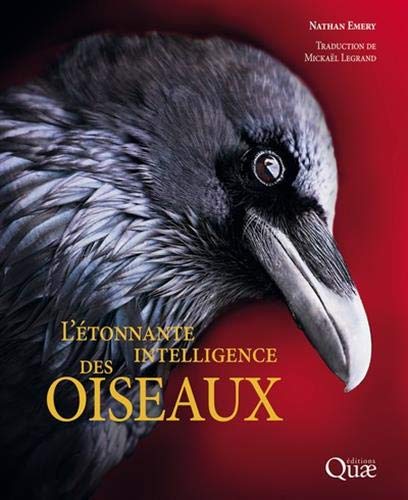 Télécharger L'étonnante intelligence des oiseaux: Préface de Frans de Waal Gratuit