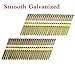 BHTOP 3 Inch Framing Nails, 21 Degree EG Smooth Shank Plastic Collated Nails for Framing Nailer, 3 x .131(500 per Box)