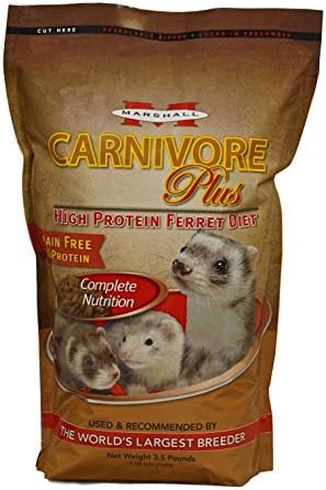 marshall carnivore plus