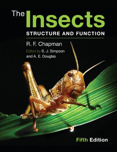 The Insects: Structure and Function (English Edition)