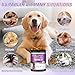 Dog Allergy Chews 200ct - Dog Allergy and Itching Skin Relief Anti Itch Aller Immune Bites for Dogs licking Itching Paws Treatment Itchy Relief Chew Probiotics Vitamins for Skin and Coat Allergies