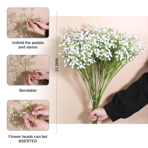 Probióticos, Imagen adicional