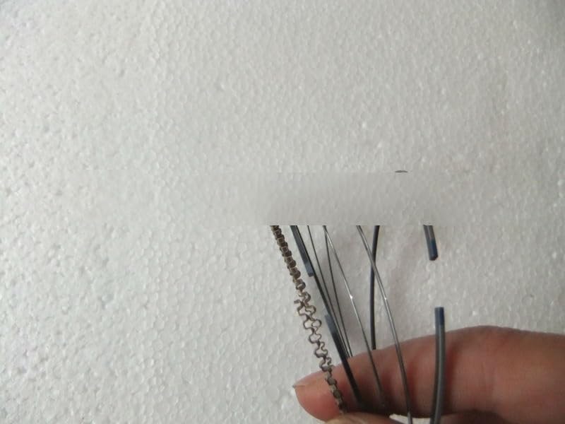 Amazon | ピストンリングセット 385447 381447 Bri-ggs および stra