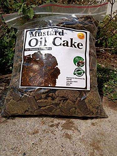 See full amazon price history chart for Bum Bum Bhole Organic Mustard Oil Cake for Home Garden, Potting Plant Growth Nutrient 2kg Bum Bum Bhole Organic Mustard Oil Cake for Home Garden, Potting Plant Growth Nutrient 2kg (B08ZL4SJ3G) Amazon Price History, Amazon Price Tracker
