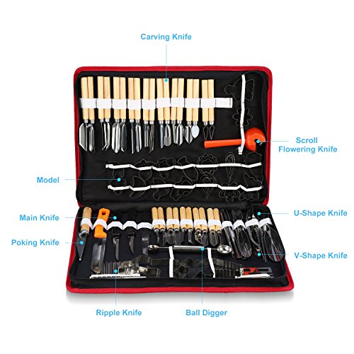 80 Stück Kulinarische Schnitzwerkzeug Set, Tragbare Kulinarische Schnitzwerkzeuge Garnieren Schneiden Carving Tool Set Geschenkideen für Caterer oder Hobby-Schnitzereien