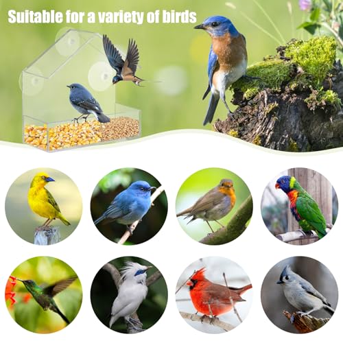 Mangeoire pour Oiseaux 15x15x6cm Mangeoire à Oiseaux pour Fenêtres Mangeoires à Fenêtre Acrylique Transparent Émangeoire de Fenêtre Transparent avec 3 Ventouses – Image 3