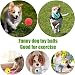 Elezenioc 5 Pelota de Juguetes para Perros, Juguete Pienso de Comida para...