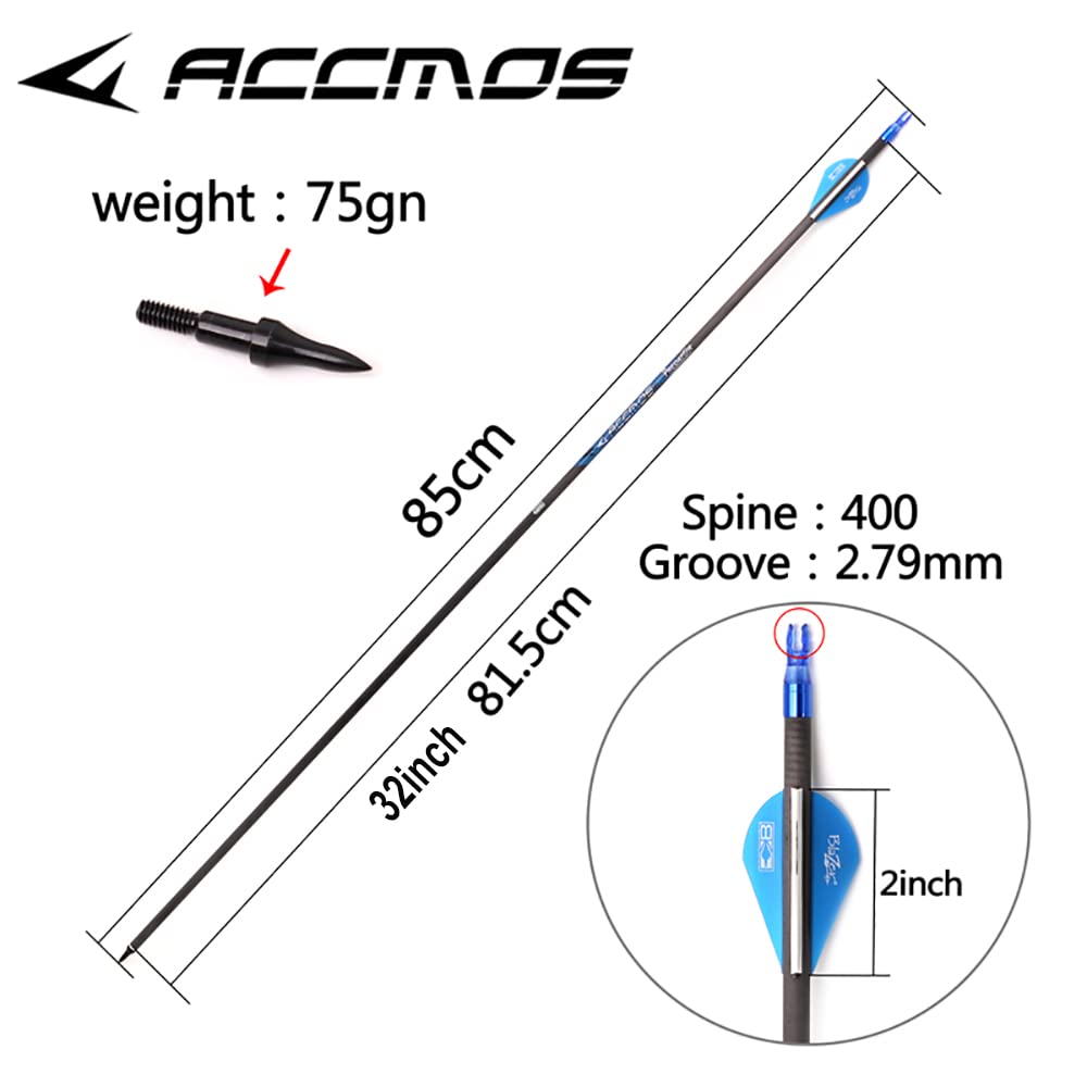 ACCMOS 27-33 Zoll Bogenschießen Carbonpfeil Spine 250 300 340 400 500 600 700 800 ID 6,2 mm Blauer Explosionsgeschützter Ring, für Erwachsene Jugend Recurve Compoundbogen Jagd Schießen 12 St