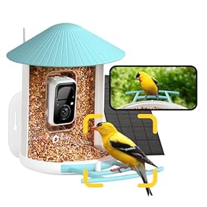 NETVUE by Birdfy AI Smart Bird Feeder with Camera Solar Powered, AI Auto Capture Each Bird Come & Identify 6000+ Bird Species, Cloud Store Bird Videos & Birdwatching On Live, Ideal Gift (Blue)