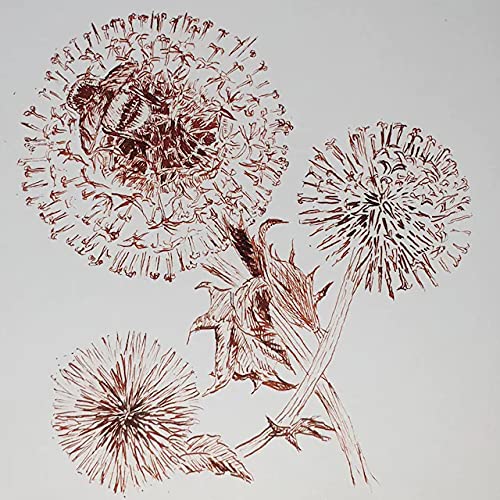 Inkursive Canetas-tinteiro manga com ponta Maru flexível (caneta de mapeamento). Demonstrador. Alter