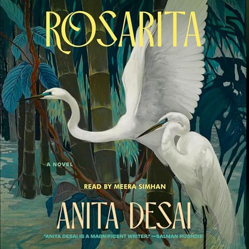 Rosarita Audiobook by Anita Desai Podcast Por arte de portada