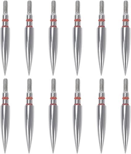 Alinbehbs Field Points Arrowheads 200 Grain Field Points, Stainless Steel Archery Field Points, Screw in Archery Field Points Tips (1 Dozen 12PCS)