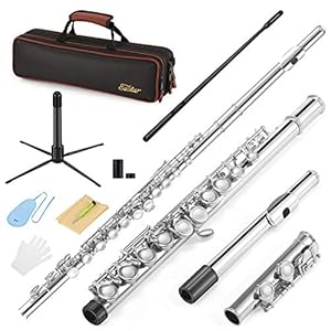 Eastar C Flutes Closed Hole 16 Keys Flute for Beginner Kids Student Flute Instrument with Cleaning Kit, Stand, Carrying…