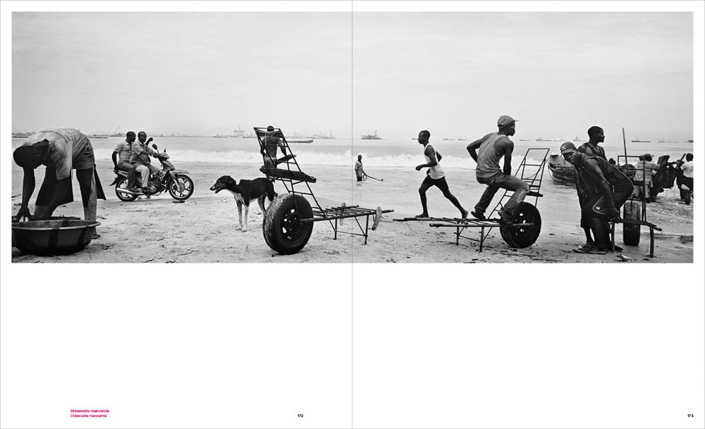 Paolo Pellegrin. L'orizzonte degli eventi-Event horizon. Ediz. a colori