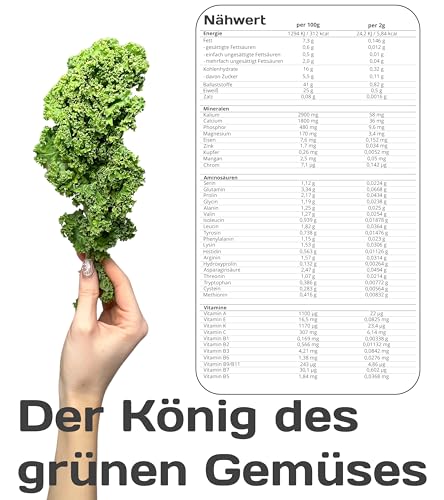 KaLOHaS+ Pure Superfood Bio Grünkohl Pulver – Ohne Zusatzstoffe, Gefriergetrocknet, Hoher Gehalt an Protein, Kalzium, Vitamin C & K – Antioxidantienreich, 9 essentielle Aminosäuren, 25 x 2g Sachets