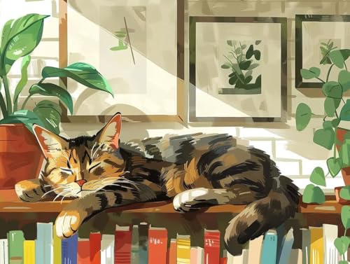 Diamond Painting Le livre du chat 5D pour adulte et enfant en kit complet 60x80cm C-288