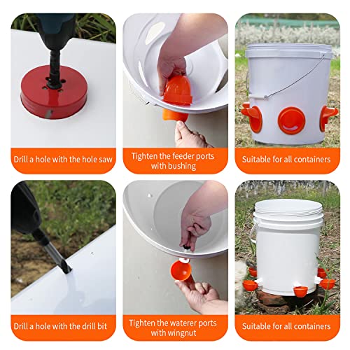 Gigules Chicken Feeder No Waste Automatic Poultry Feeder Ports Kit Chicken Feeders And Waterer Set thumb #5