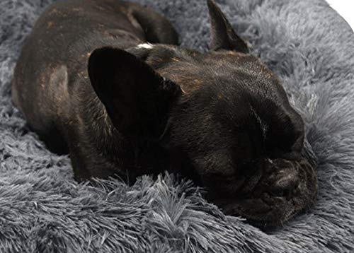 Pingbu Donut-Hundebett Für Große Hunde – Selbstwärmend, Waschbar, Mit Erhöhtem Rand