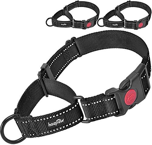 martingale dog collar amazon