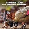 Hen Saver Hen Apron/Saddle, Single Strap, Large, Awareness Pink #5
