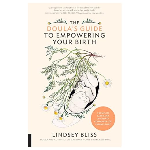 The Doula's Guide to Empowering Your Birth: A Complete Labor and Childbirth Companion for Parents to Be