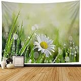 Starojul Tapestry Green Grass Dew Vibrant Closeup Raindrop Drops On Outdoors Sunny Purity Daisy...