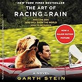 The Art of Racing in the Rain