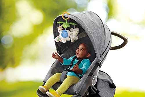 Fisher Price Safari Dreams Deluxe Comfort Gym #TOP3