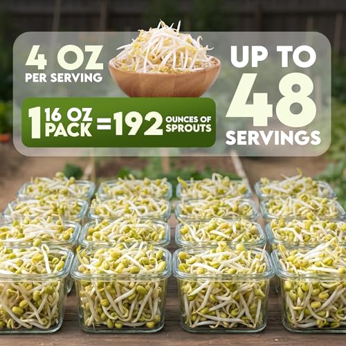 Nature Jims Sprouts Mung Bean Sprouting Seeds – Non-GMO Mung Beans for Growing Nutritious, Fresh Sprouts – Packed with Vitamins, Minerals & Fiber – Premium Resealable Bag for Longer Freshness – 16 Oz