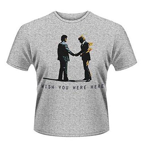 Pink Floyd Wish You Were Here Grigio T-Shirt