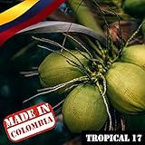 Vibra Music Entertainment S.A.S.