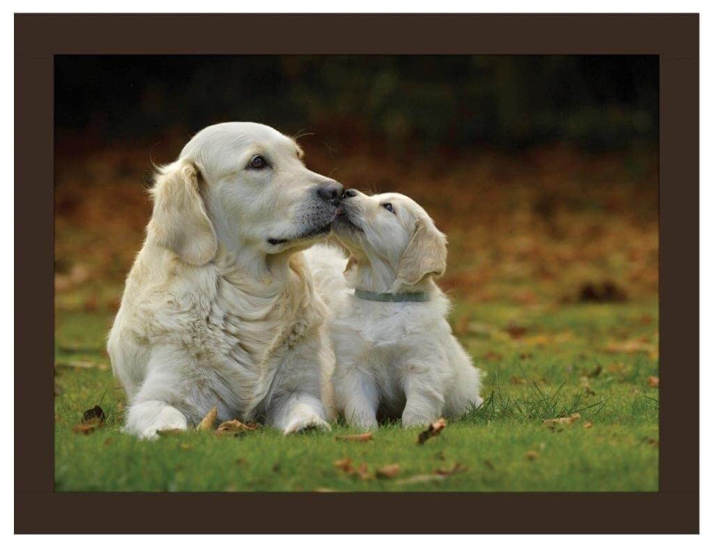 Rural Roots Brown Istyle Golden Retrievers Lap Tray