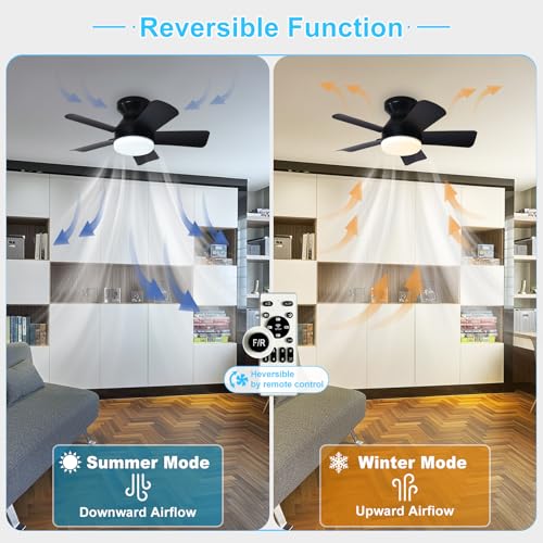Image of Depuley Modern Ceiling Fan with Light: 25-Inch Black Small Fans for Bedroom Indoor Outdoor - Dimmable Low Profile Ceiling Fans with Remote Control Flush Mount 5 Reversible Black Blades 6 Speeds Timer